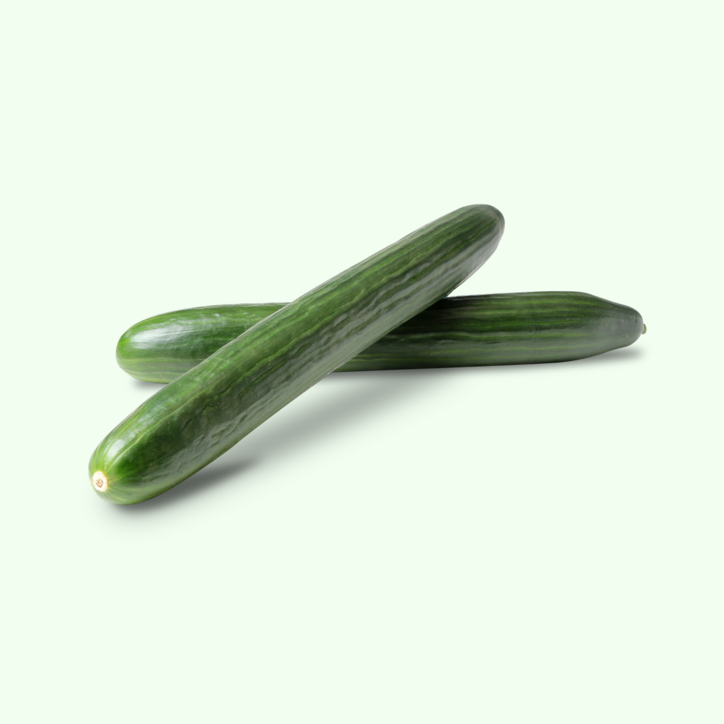 Cucumber, English (Each)