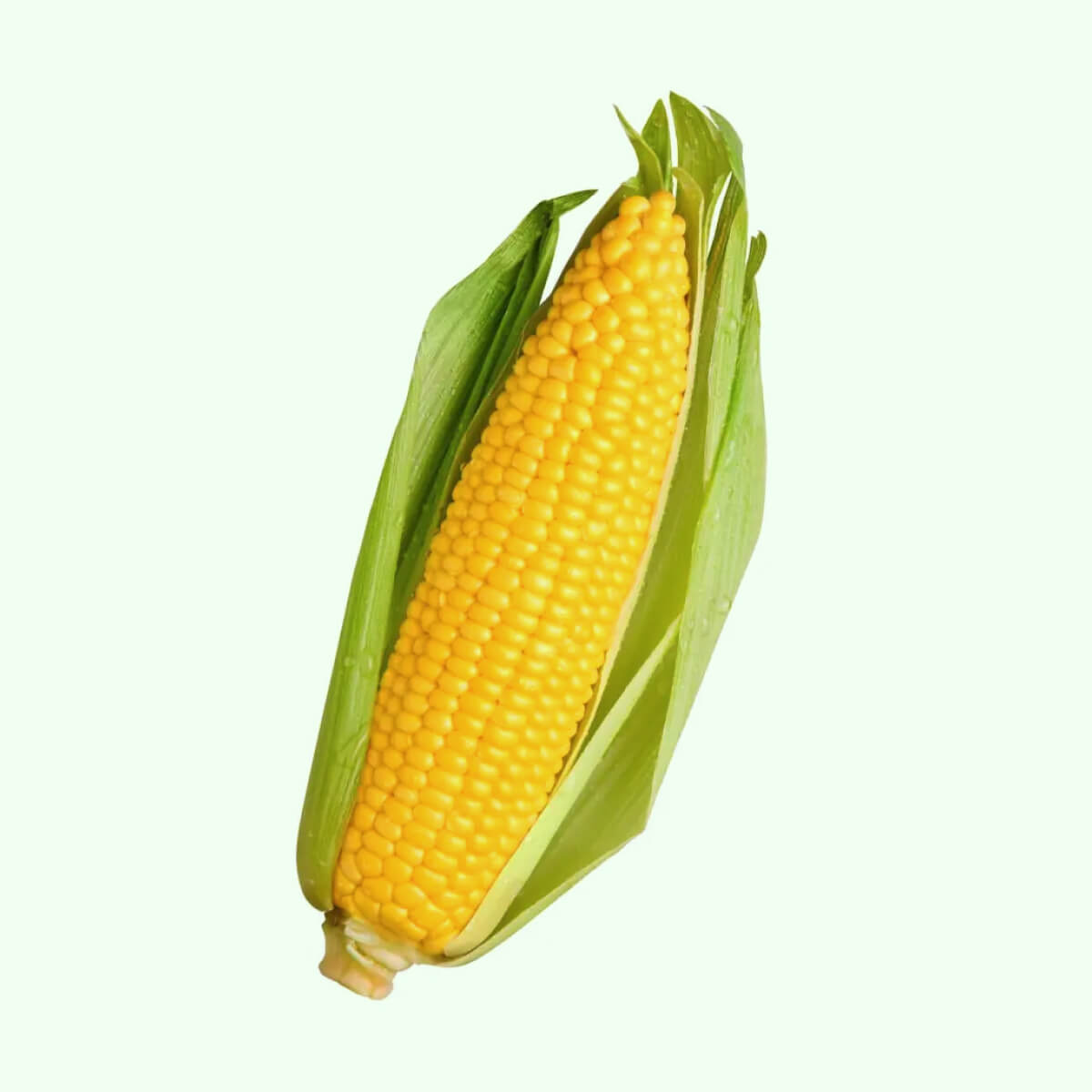 Corn, Sweet (Each)