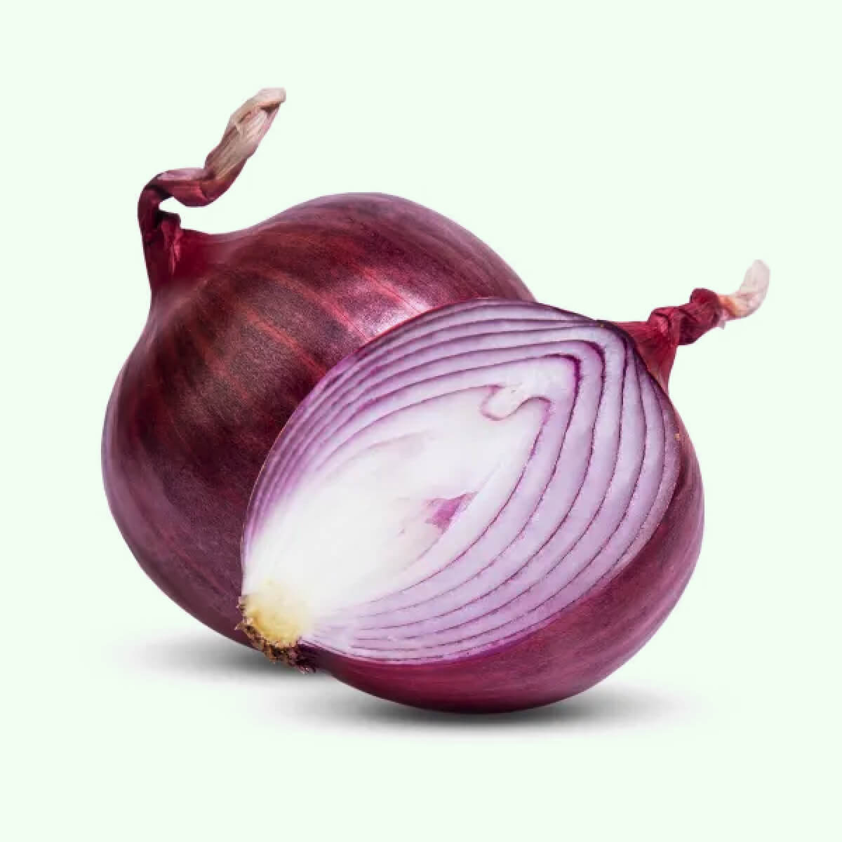 Onion, Red (Each)