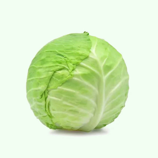 Cabbage