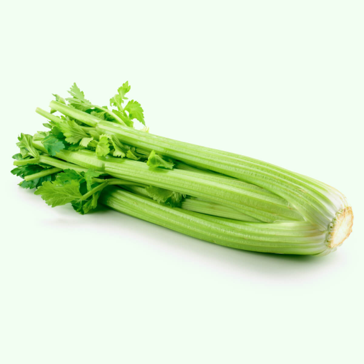 Celery