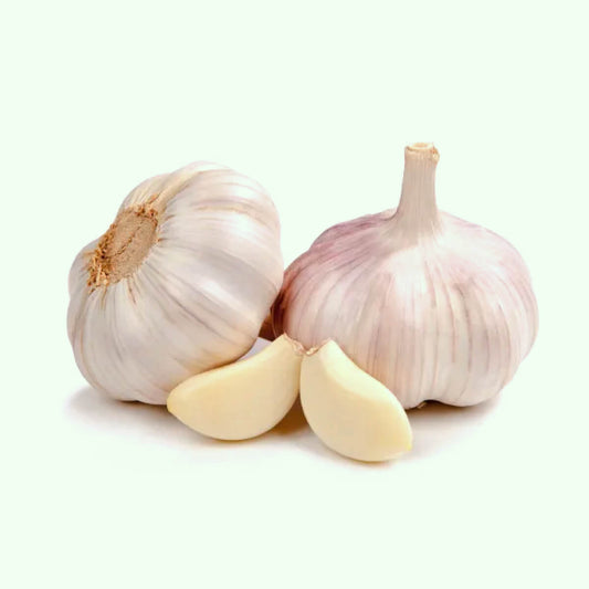 Garlic