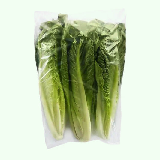 Lettuce, Romaine