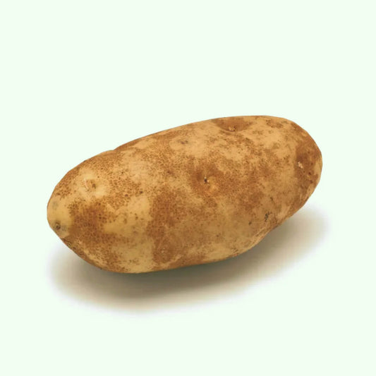 Potato, Russet